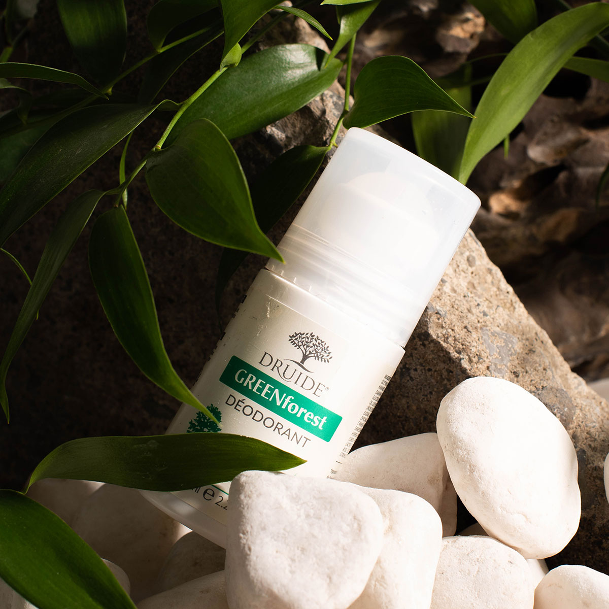 Green Forest Deodorant - Image 2